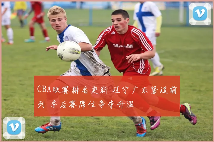 CBA联赛排名更新 辽宁广东紧追前列 季后赛席位争夺升温