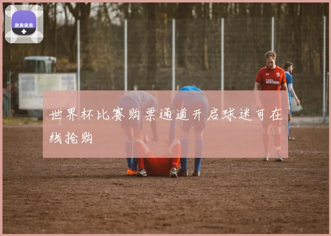 世界杯比赛购票通道开启球迷可在线抢购