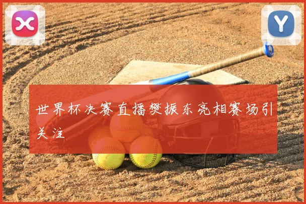 世界杯决赛直播樊振东亮相赛场引关注
