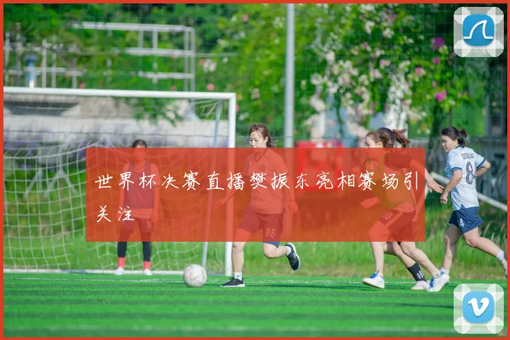 世界杯决赛直播樊振东亮相赛场引关注