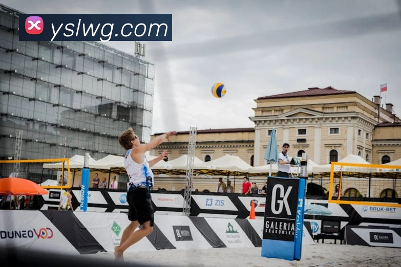 必一运动体育官网平台生态图